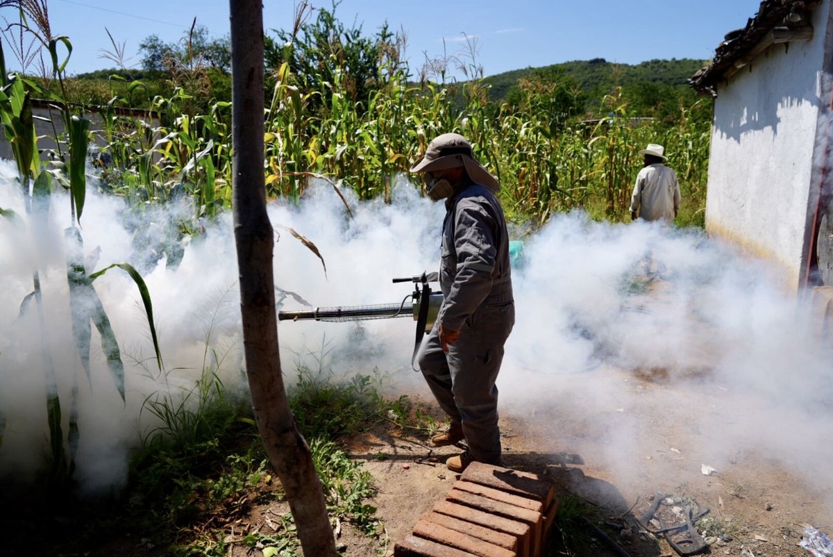 Las autoridades realizaron jornadas de fumigación en Sonora. | Secretaría de Salud