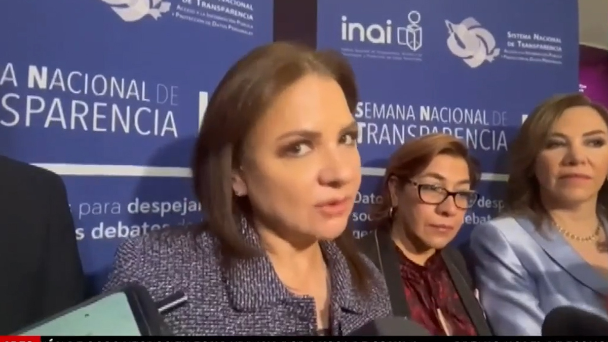 Gobierno debe denunciar hackeo a Sedena o “se vuelve cómplice”: comisionada del INAI