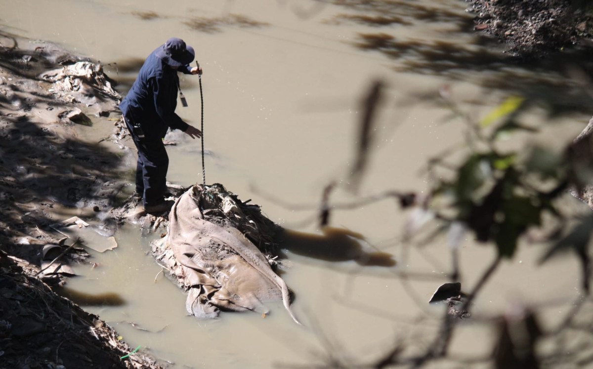 Realizan búsqueda de cadáveres y restos humanos en Puebla | Alfredo Fernández