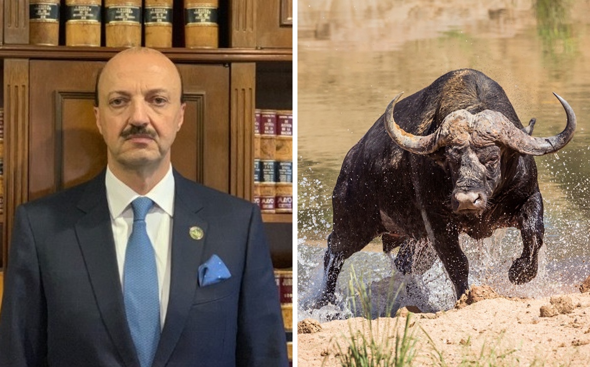 El cazador Canales Najjar fue atacado por el búfalo tras dispararle con un fusil. | Shutterstock