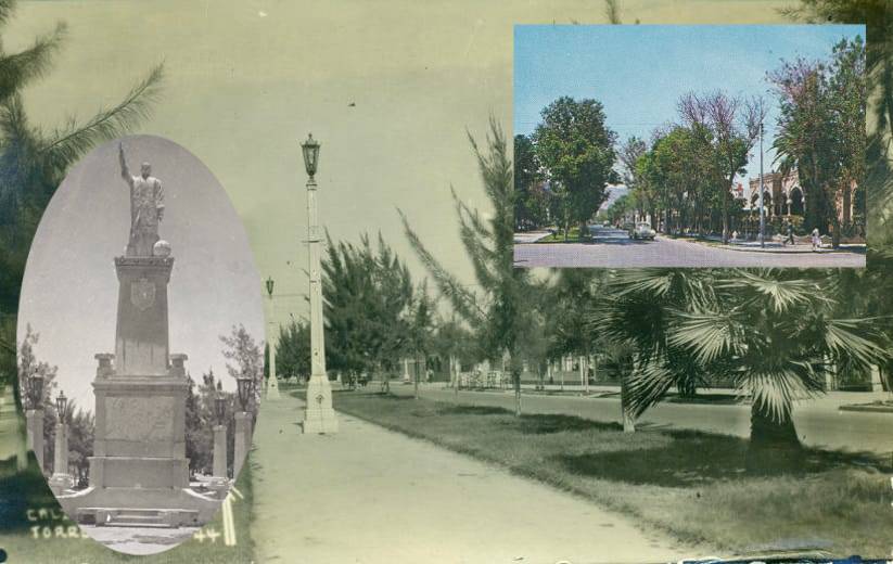 Calzada Colón de Torreón. (Cortesía)