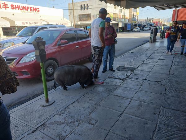 Los comentarios y reacciones no se hicieron esperar y en unas cuantas horas, la publicación superó las 140 compartidas. (Facebook)
