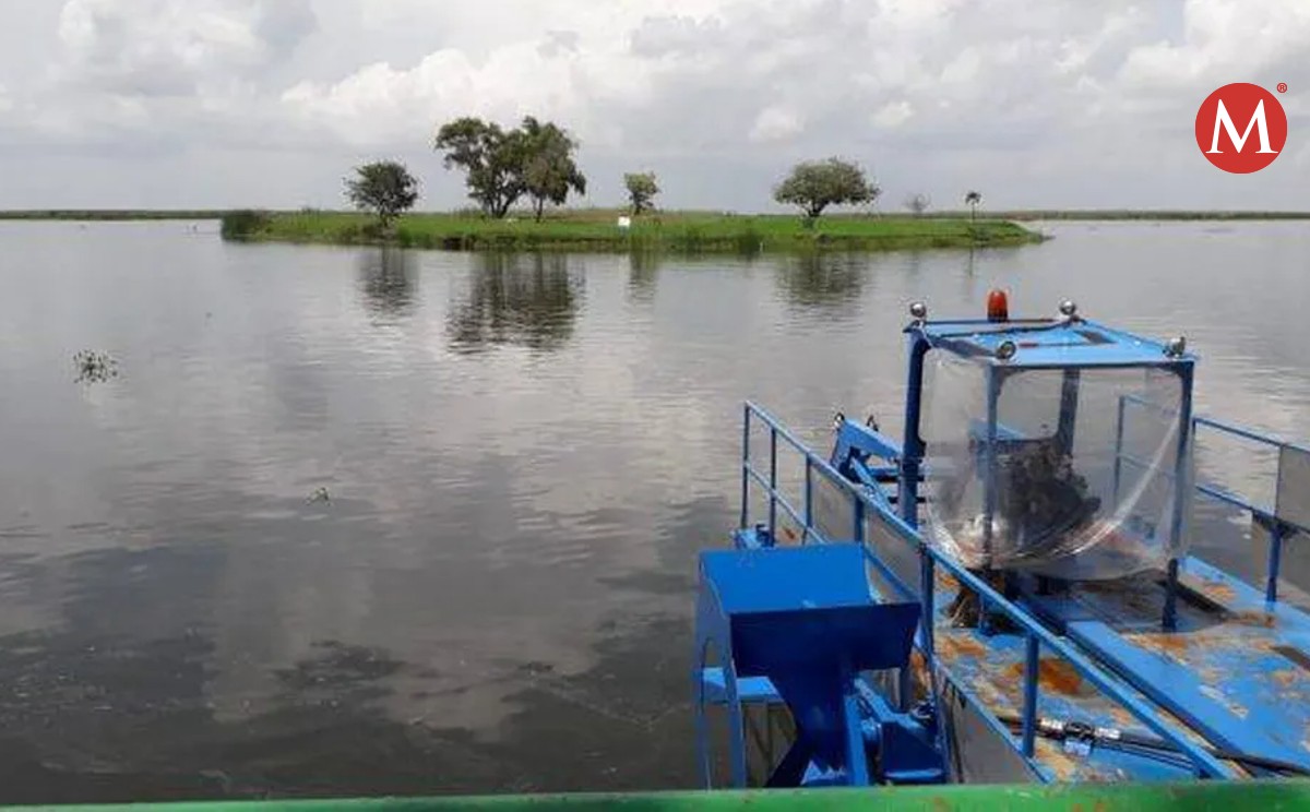 Conagua alista 10 mdp a mantenimiento del sistema lagunario del Tamesí