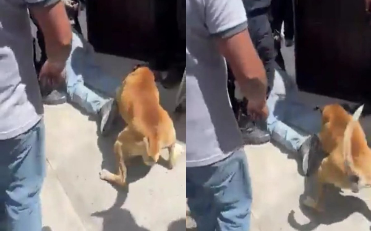¡Golpean y  muerden  a ladrón en Puebla!  | Especial