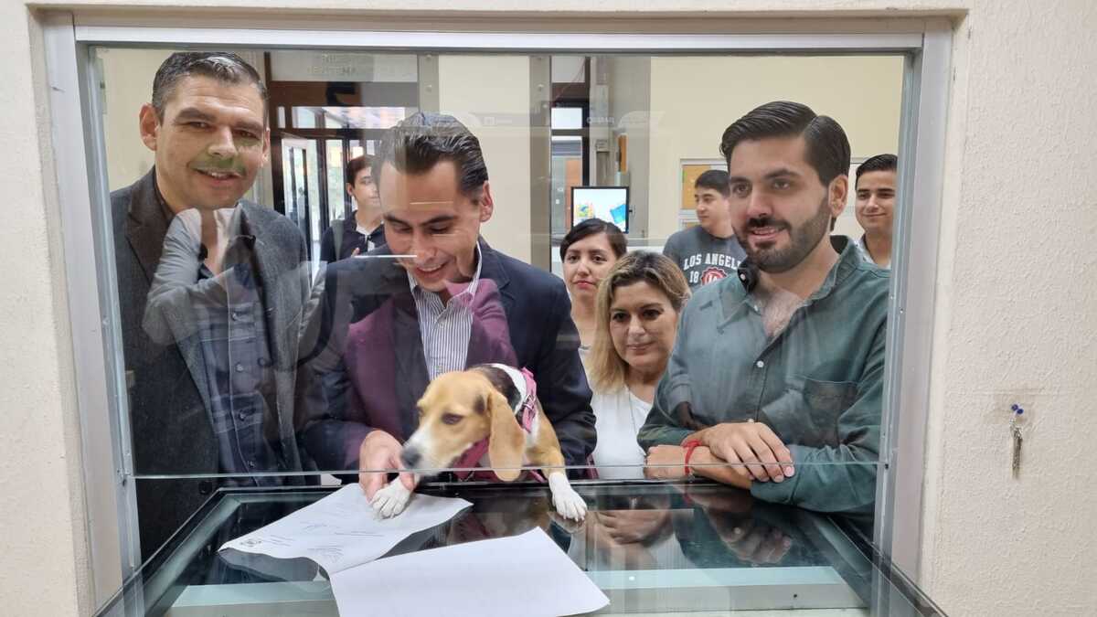 La iniciativa se presentó en la Oficialía de Partes del Congreso local / Kevin Recio