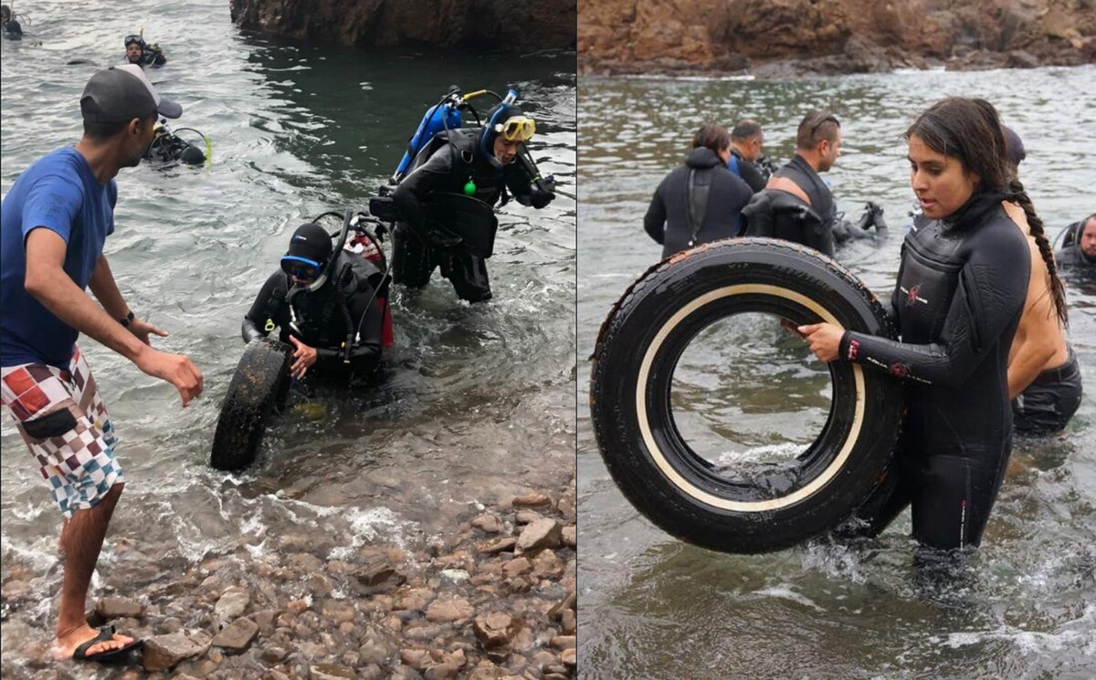 La organización Cuidemos el Océano A.C. se encargó de retirar 400 llantas del fondo marino.