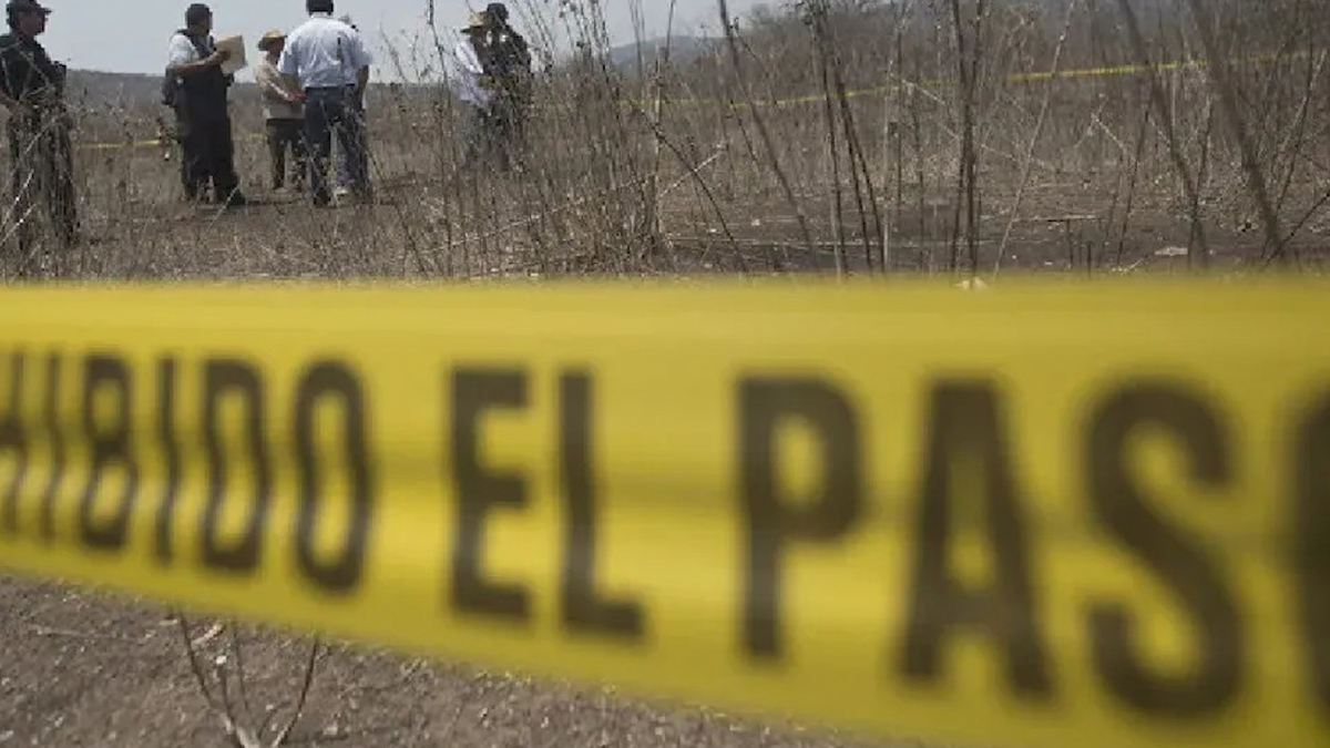 Enterrado bajo un árbol, hallan a joven desaparecido en Toluca