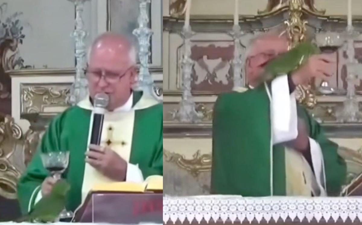Este pequeño loro interrumpió una misa| Especial