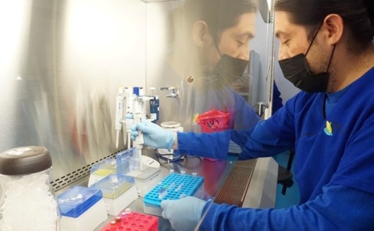 El virus se detectó en un halcón gerifalte, que se alimentaba en el río Lerma. | Senasica