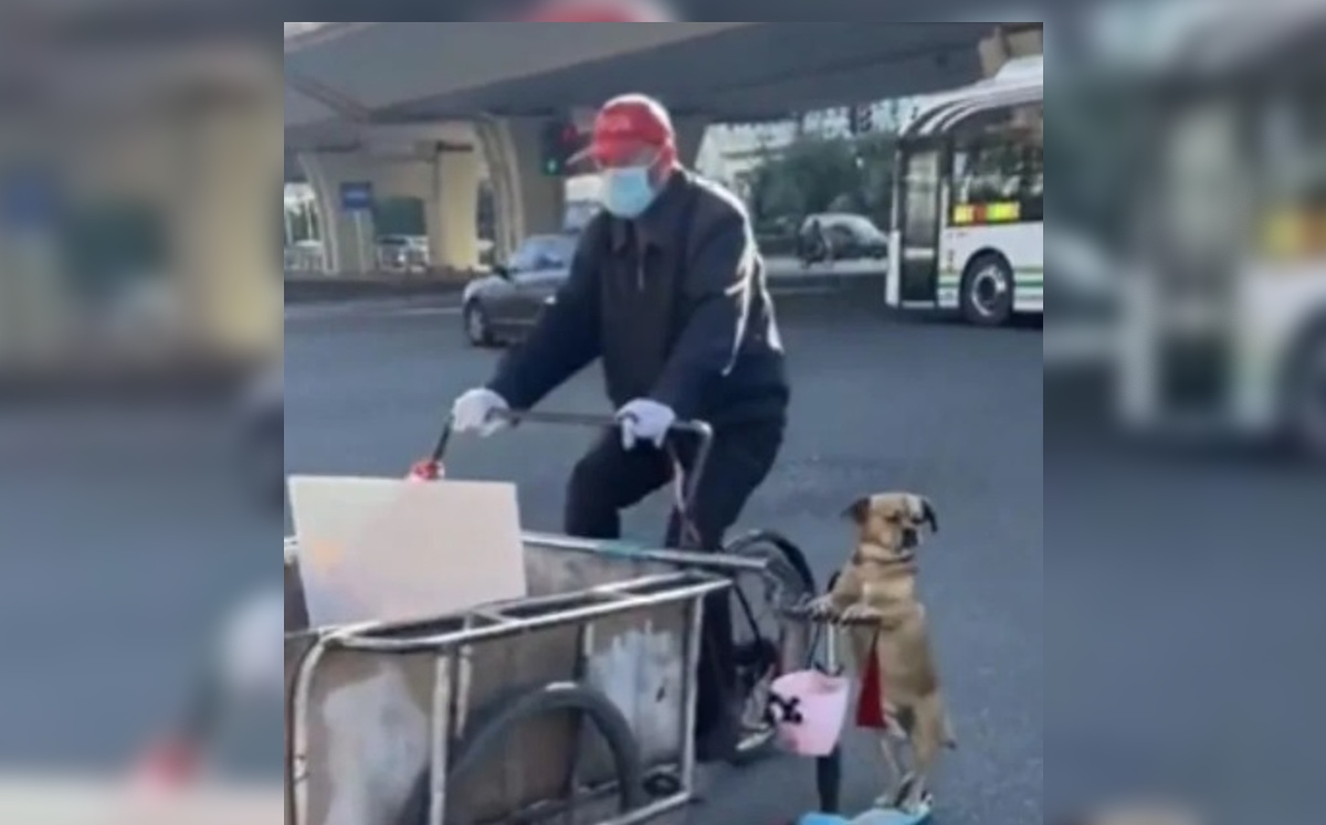 Este perrito se volvió viral en redes sociales (Especial).