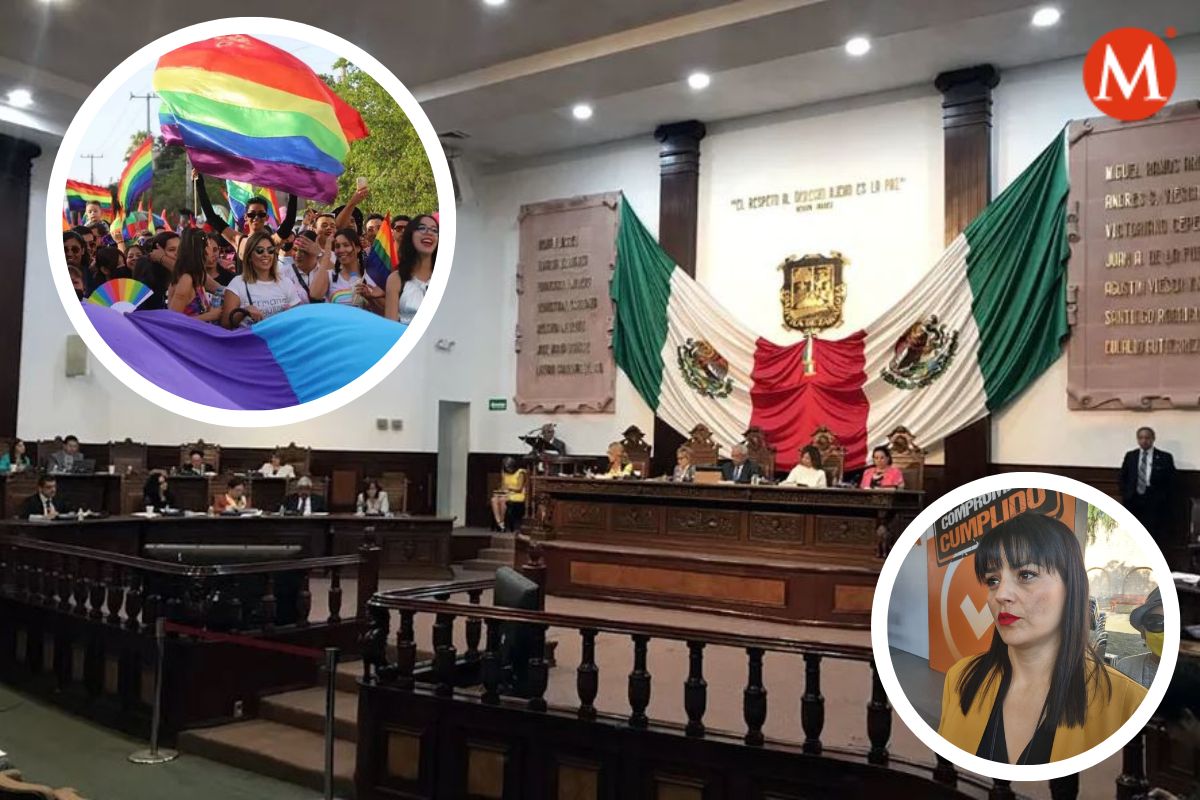 Existen diferentes temas de interés para la comunidad LGBT, como inclusión del género no binario en la legislación.