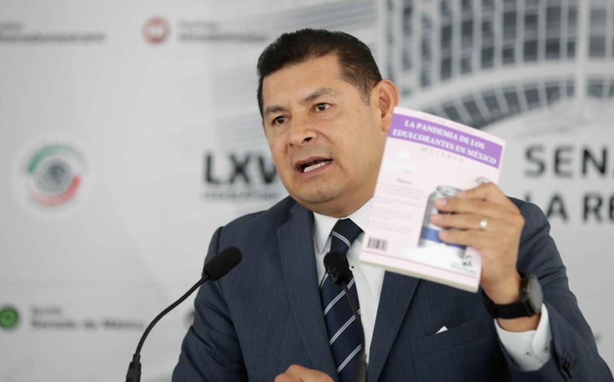 Alejandro Armenta, presidente de la Mesa Directiva del Senado. | Especial