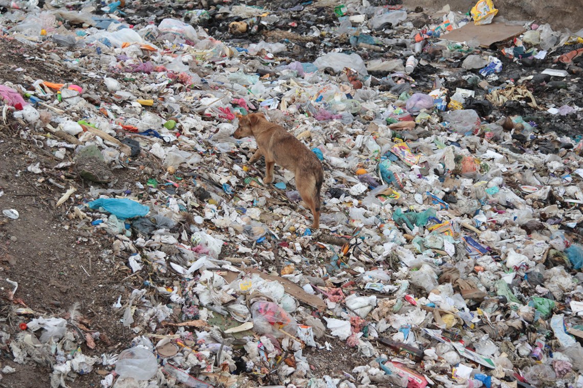 Comida en la basura | Andrés Lobato