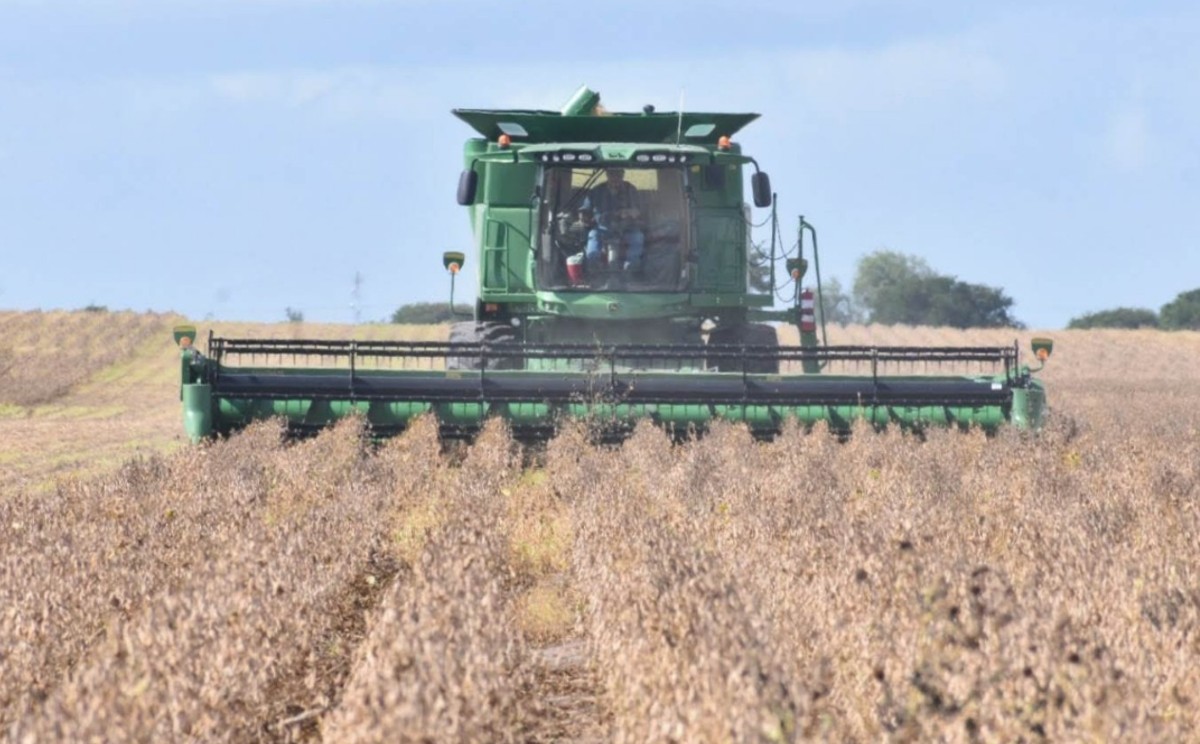 En Tamaulipas arrancó la temporada otoño-invierno de siembra de granos.