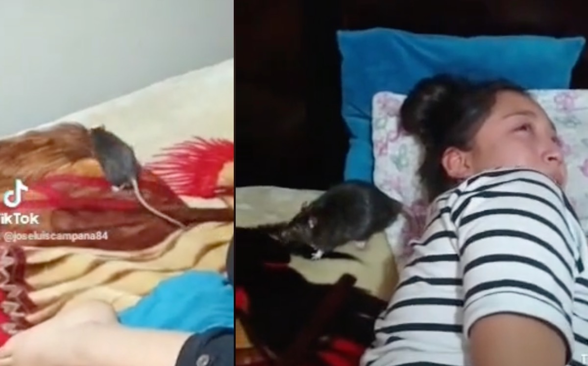 Así reaccionó TikTok con este video| Especial