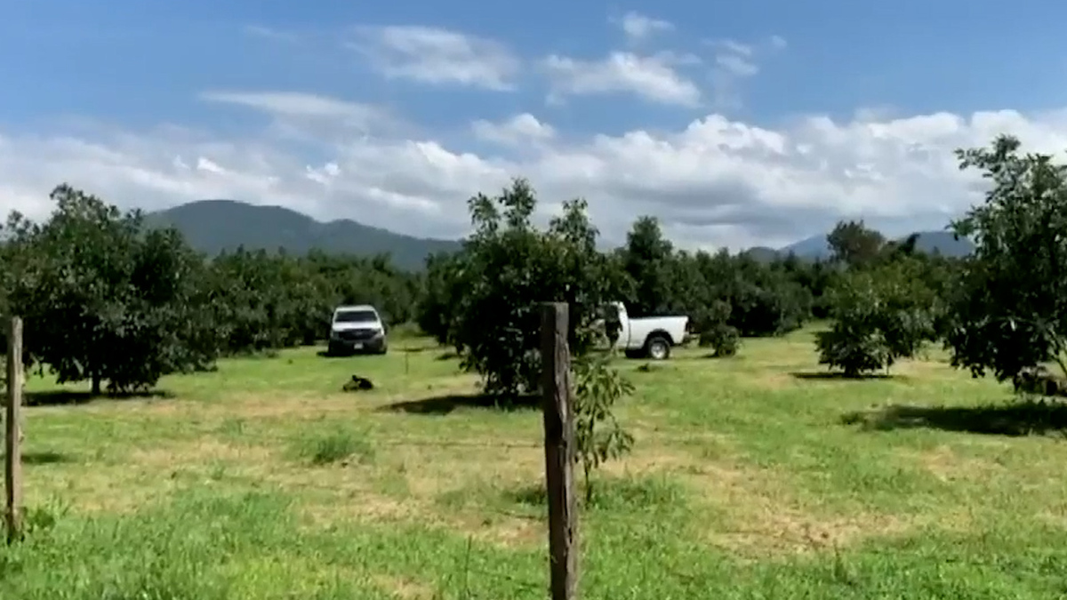 Autoridades encuentran una fosa clandestina en Michoacán