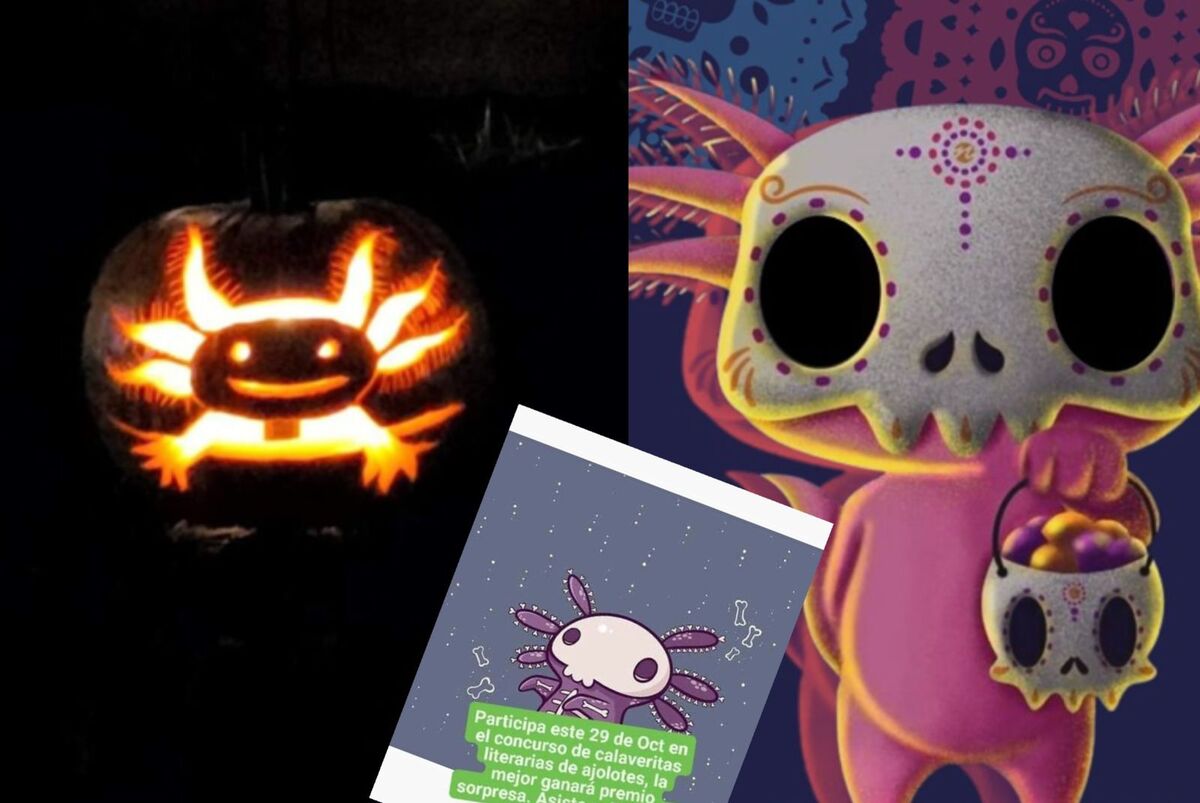 Concursos por Día de Muertos en ajolotario de Pachuca.