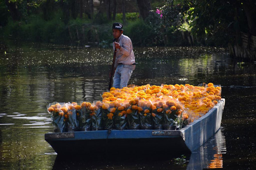 Una de las delegaciones más emblemáticos de la Ciudad de México en la temporada de Día de Muertos es Xochimilco. | Haarón Álvarez