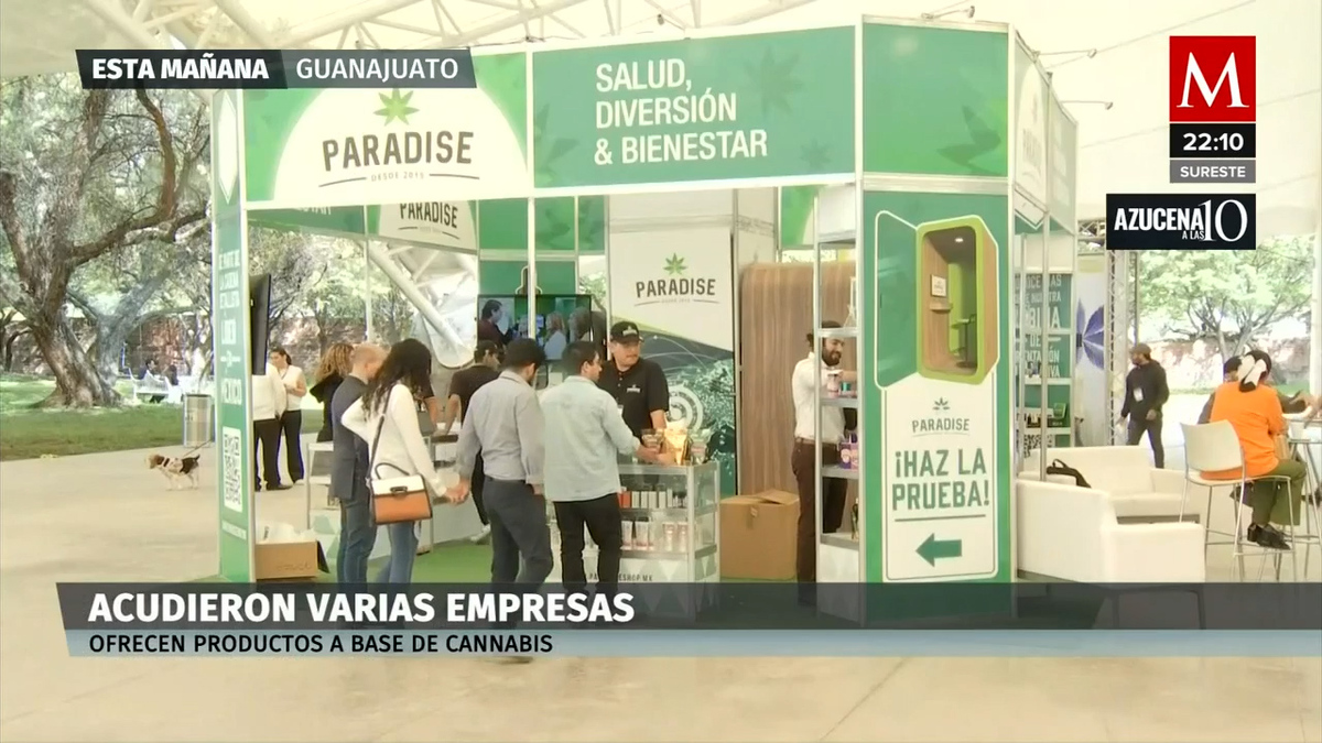 Fox pide al gobierno federal acelerar la legalización de la marihuana
