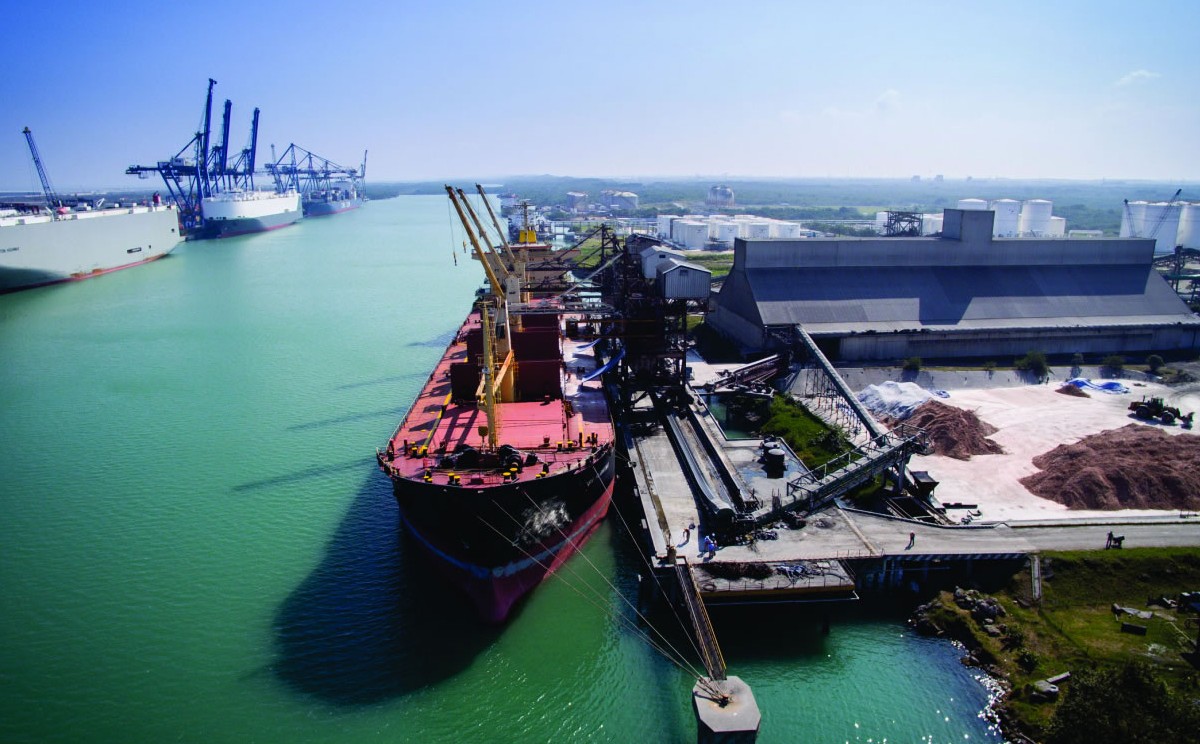El movimiento de carga en el puerto de Altamira crece en diversos productos.