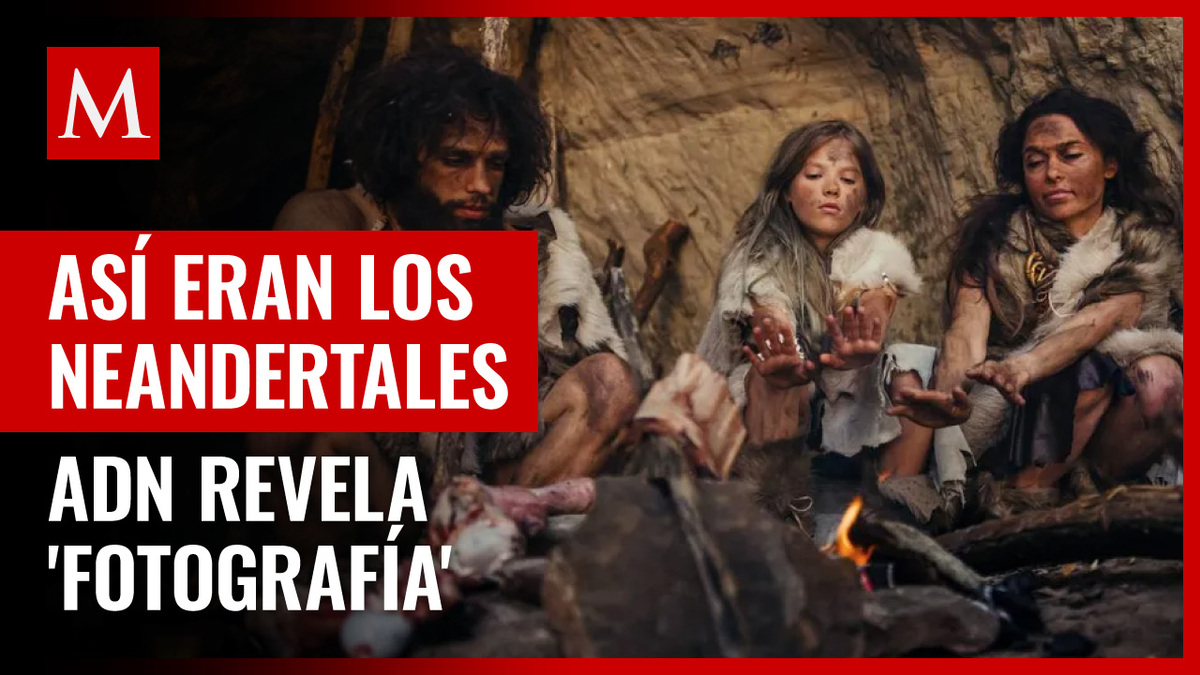 Neandertales. Arrojan nuevas pruebas de su forma de organización