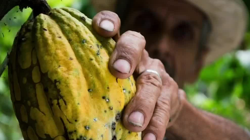 Pepsico promueve la seguridad alimentaria