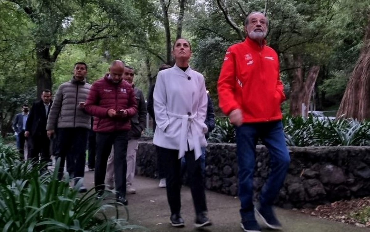 Sheinbaum recorrió junto con Slim varias zonas del Bosque. | Twitter Claudia Sheinbaum