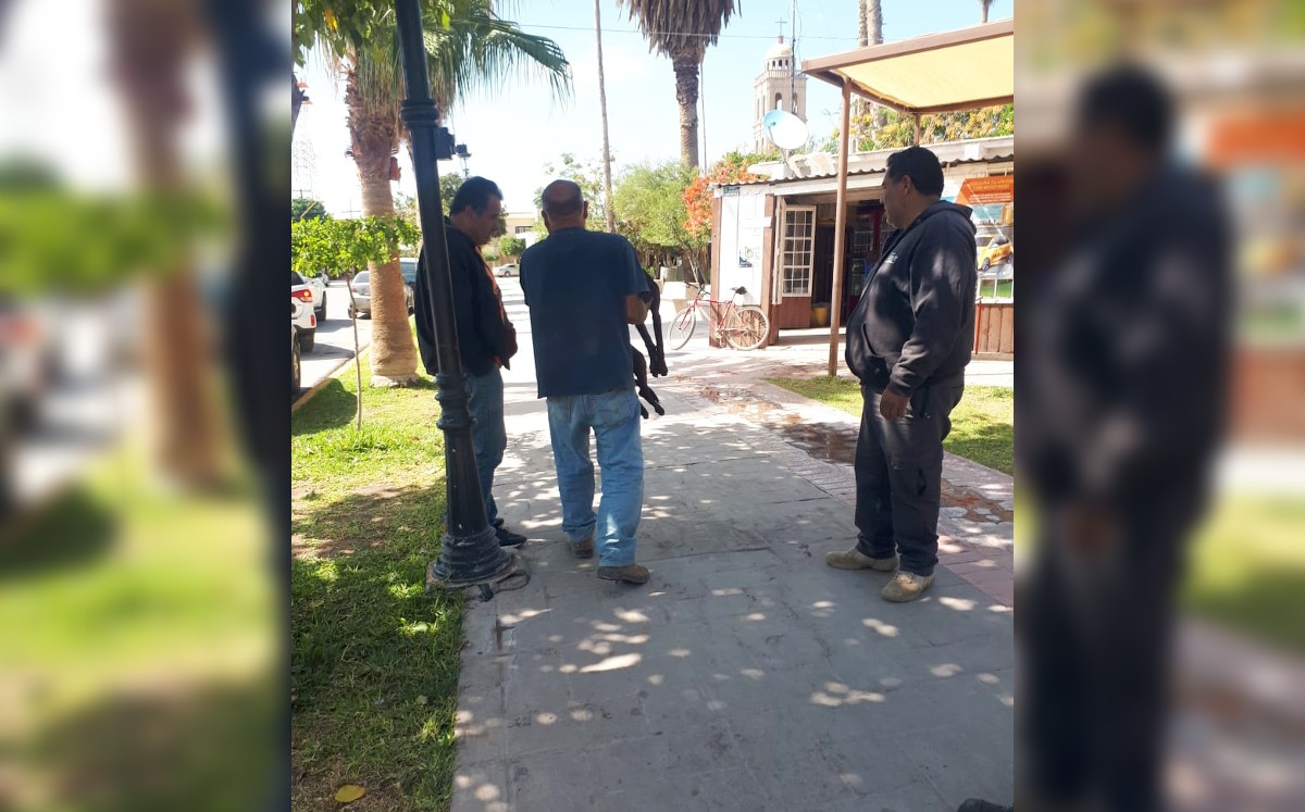 Ya son al menos dos perros los que han envenenado. (Especial)