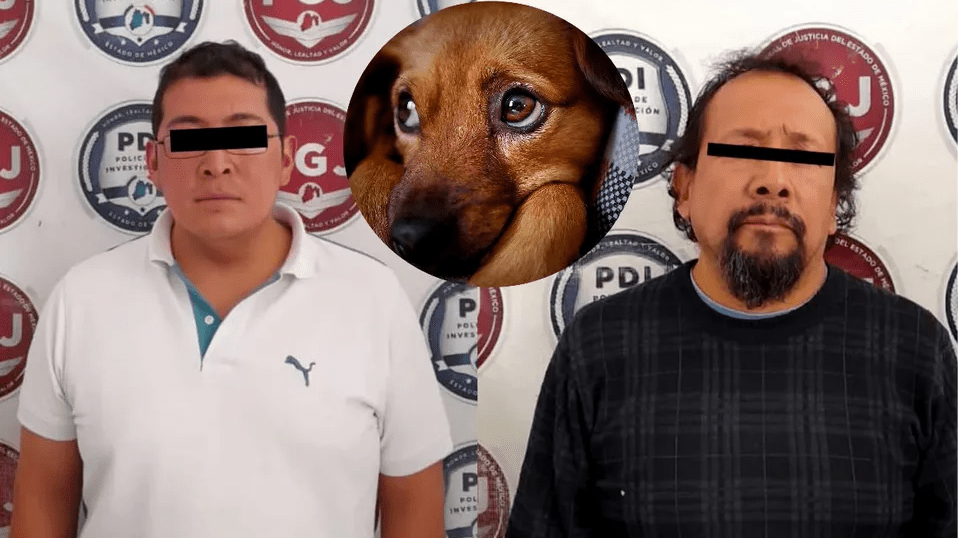 Detienen a dos hombres por maltrato animal