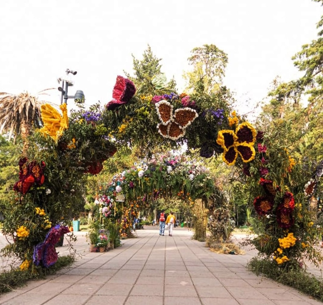 El Festival de Flores y Jardines estará en calles de Polanco de la Ciudad de México | Instagram @fyjamx