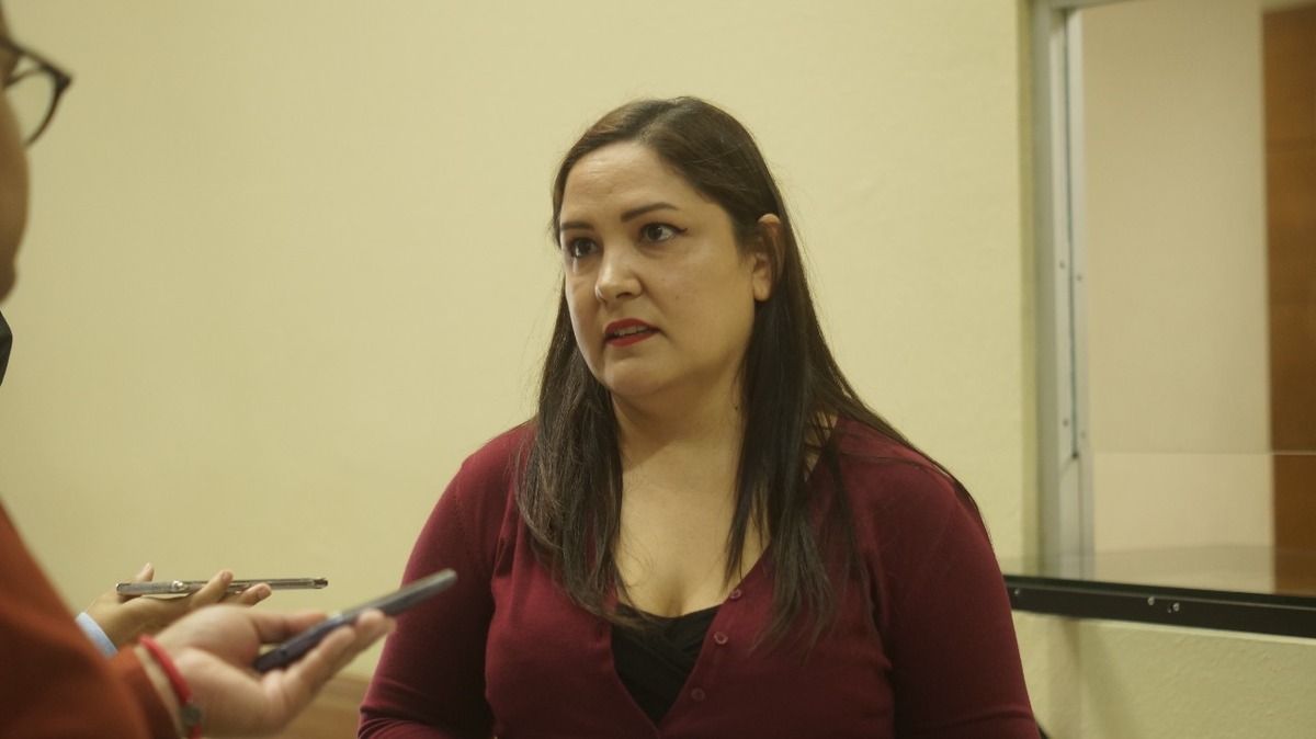 La coordinadora del Grupo Legislativo Morena, Jessica Martínez. Foto: Especial.