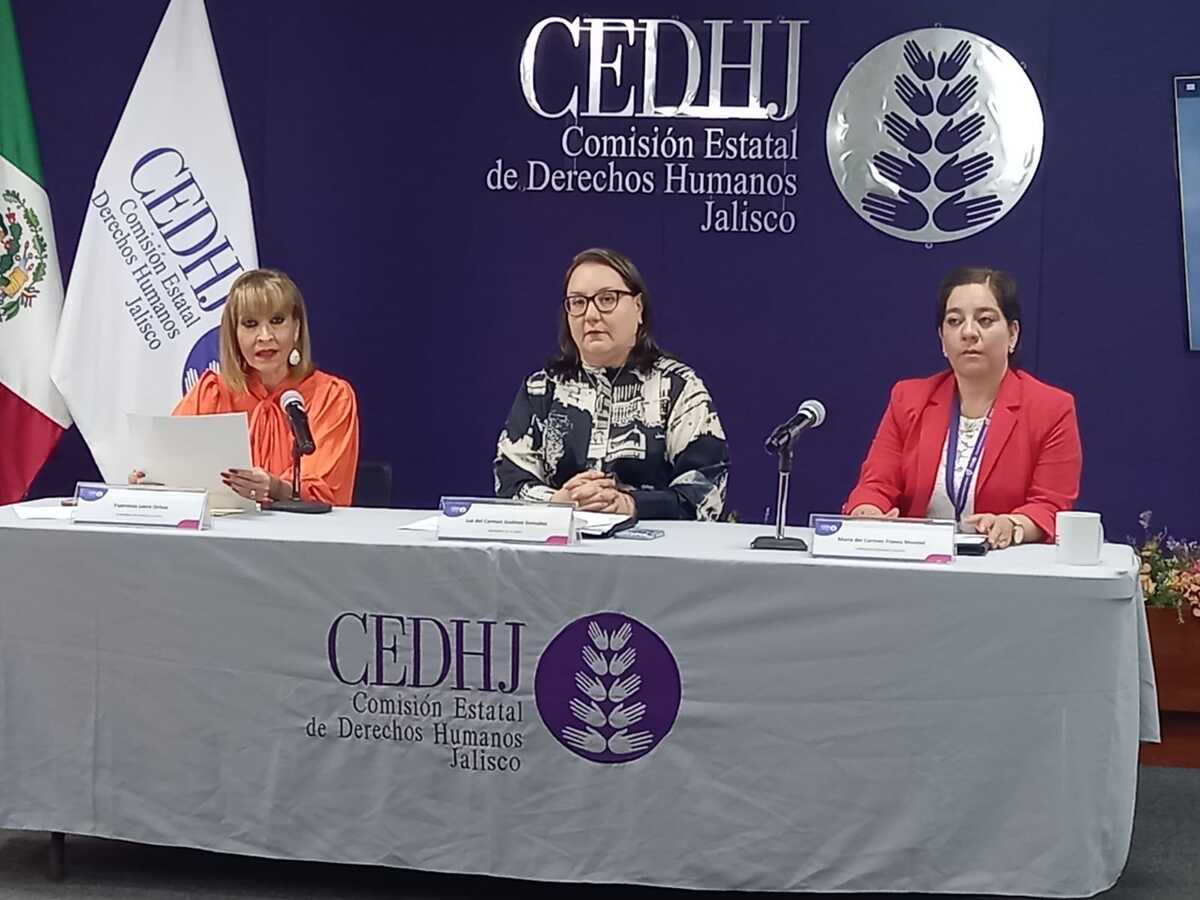 Destaca la CEDHJ su postura ante la ley sobre violencia vicaria (Roberto Hurtado)