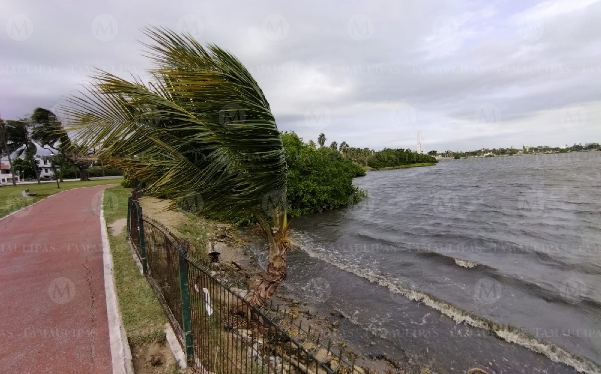 Frente frío 5 llega a Tamaulipas con fuertes vientos y lluvias. (Sergio Sánchez)