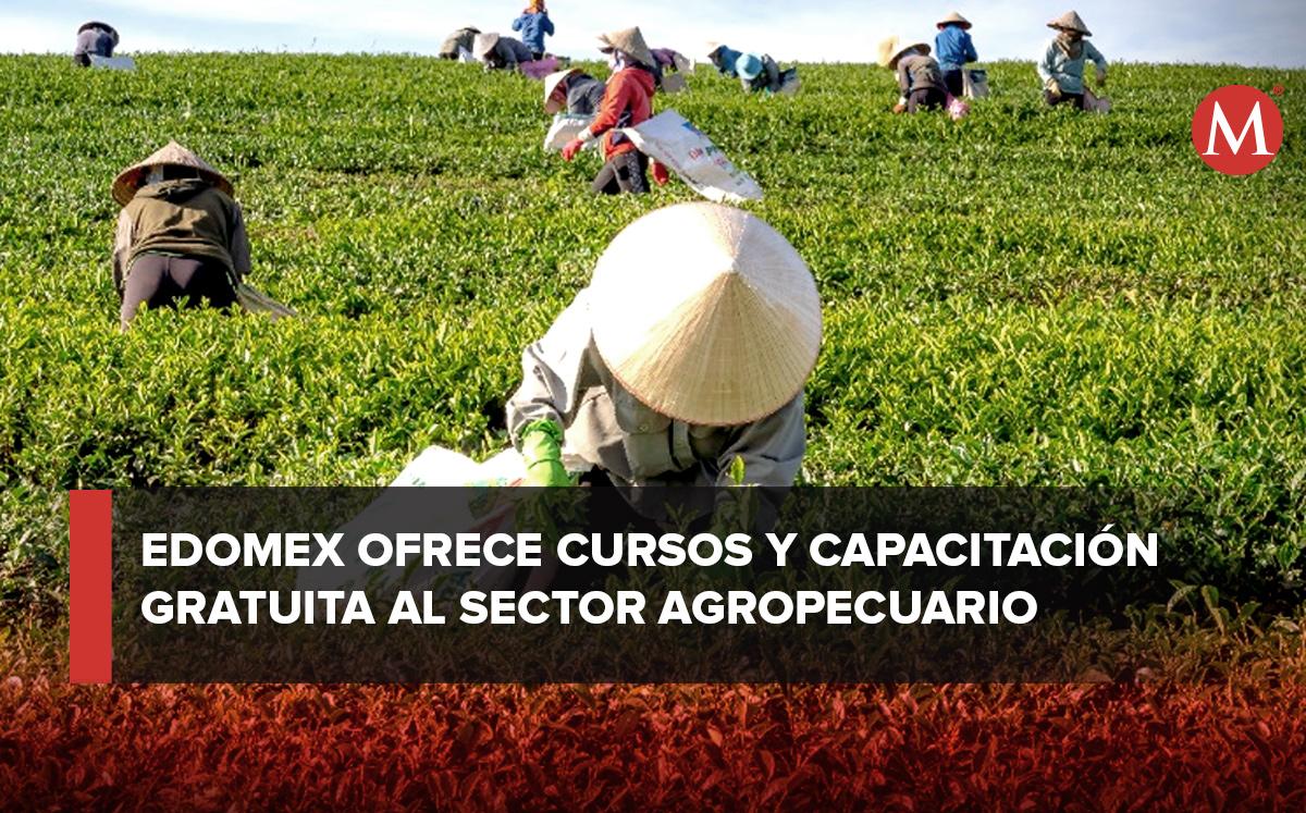 El gobierno estatal ofrece cursos y capacitaciones en sector agropecuario. | Especial