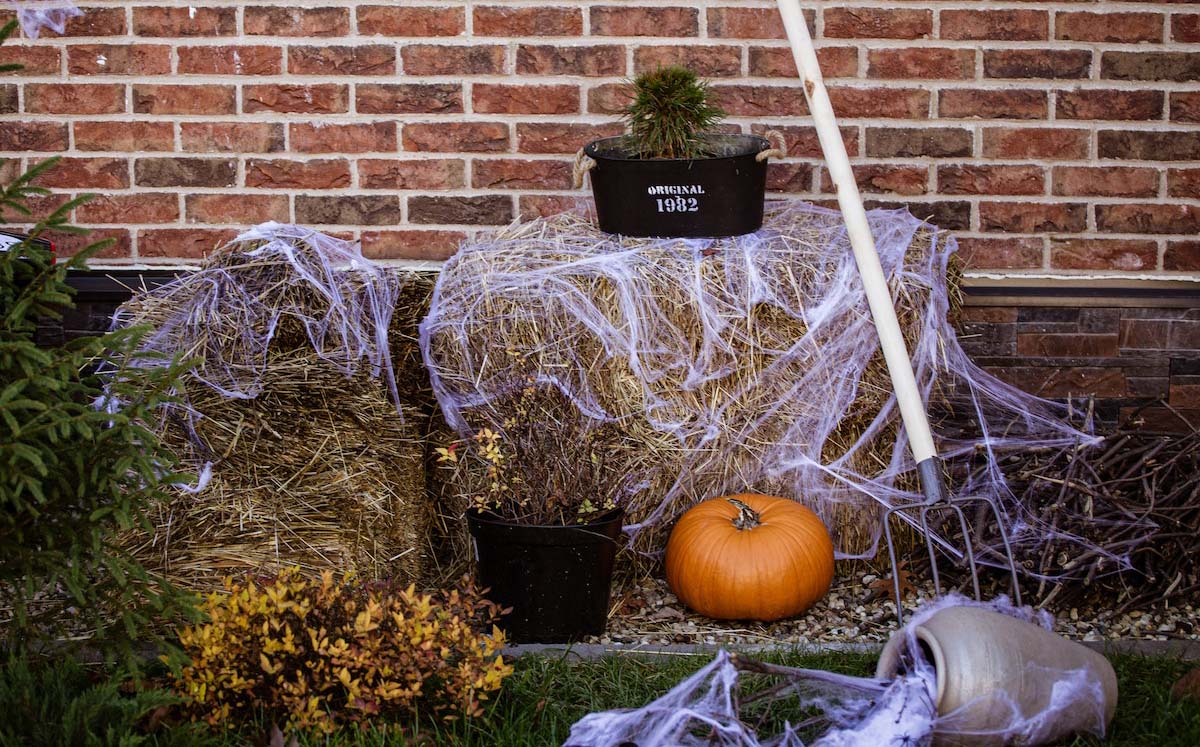 Decoraciones de Halloween (Pexels)