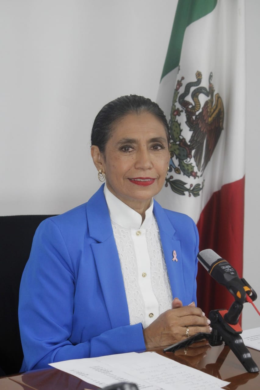 La funcionaria compareció de manera virtual ante los integrantes de la Comisión de Salud.