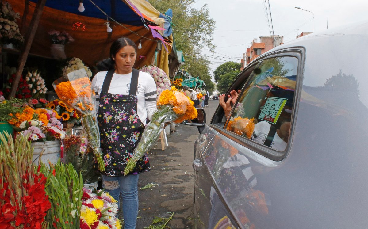 Venta de flores de cempasúchil | Agencia Enfoque