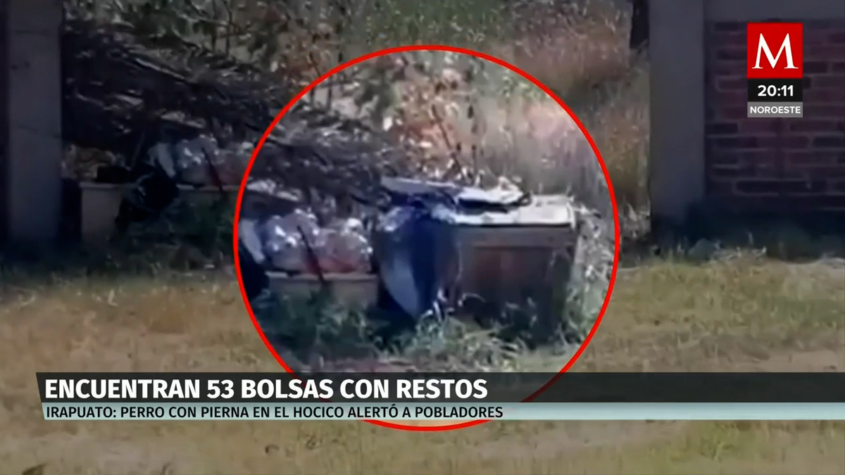 Fiscalía de Guanajuato concluye labores en fosas de Irapuato