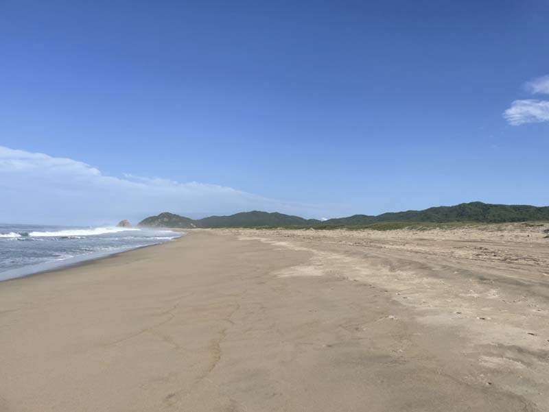 Las dunas y la biodiversidad | Omar Cervantes