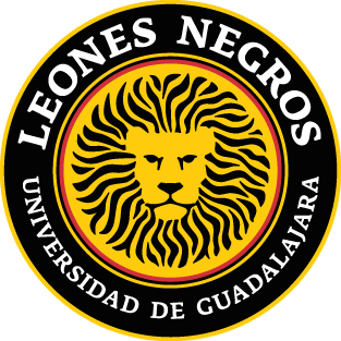 LEONES NEGROS