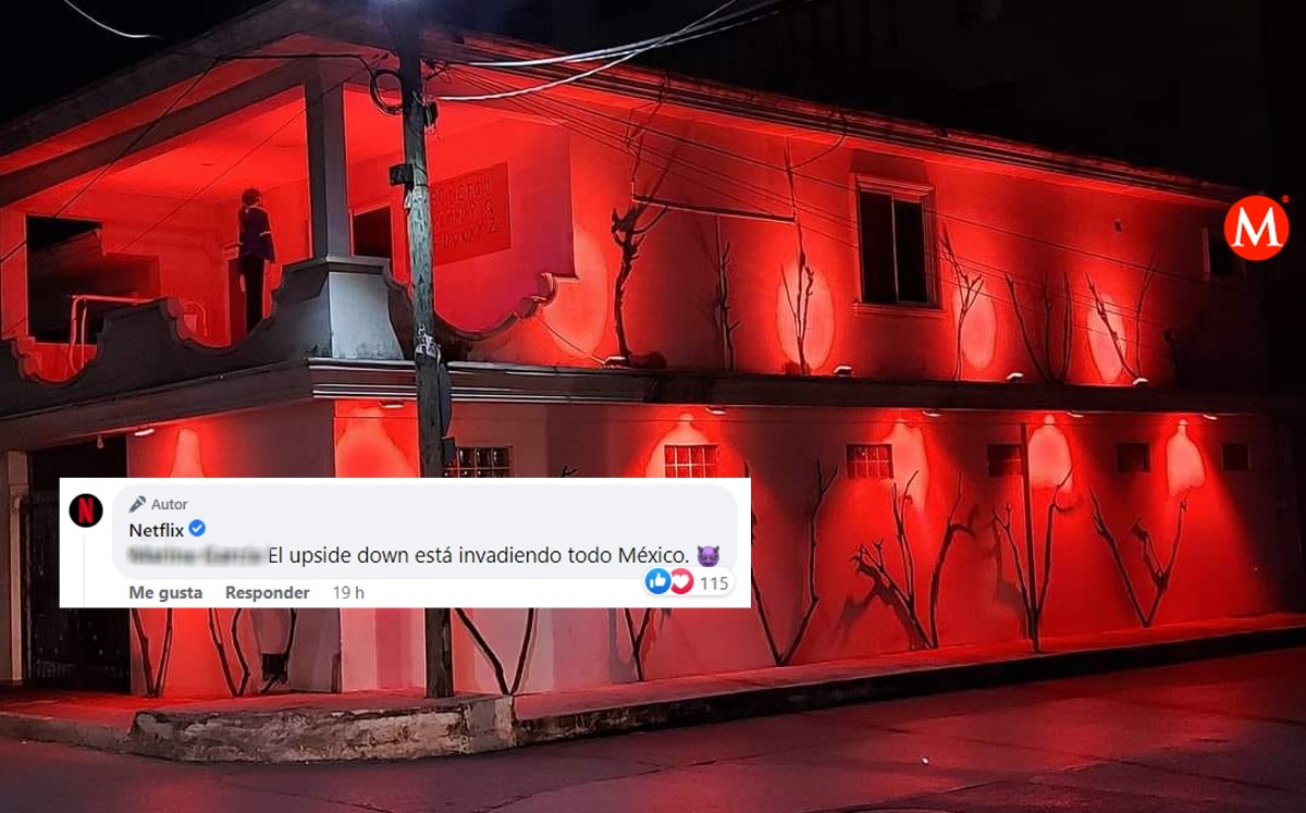 Netflix responde a comentario de tampiqueña. (Especial)