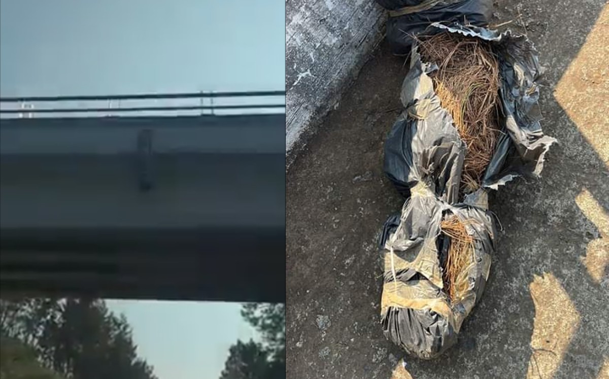 Al sitio llegaron elementos de seguridad para desamarrar el bulto. (Especial)