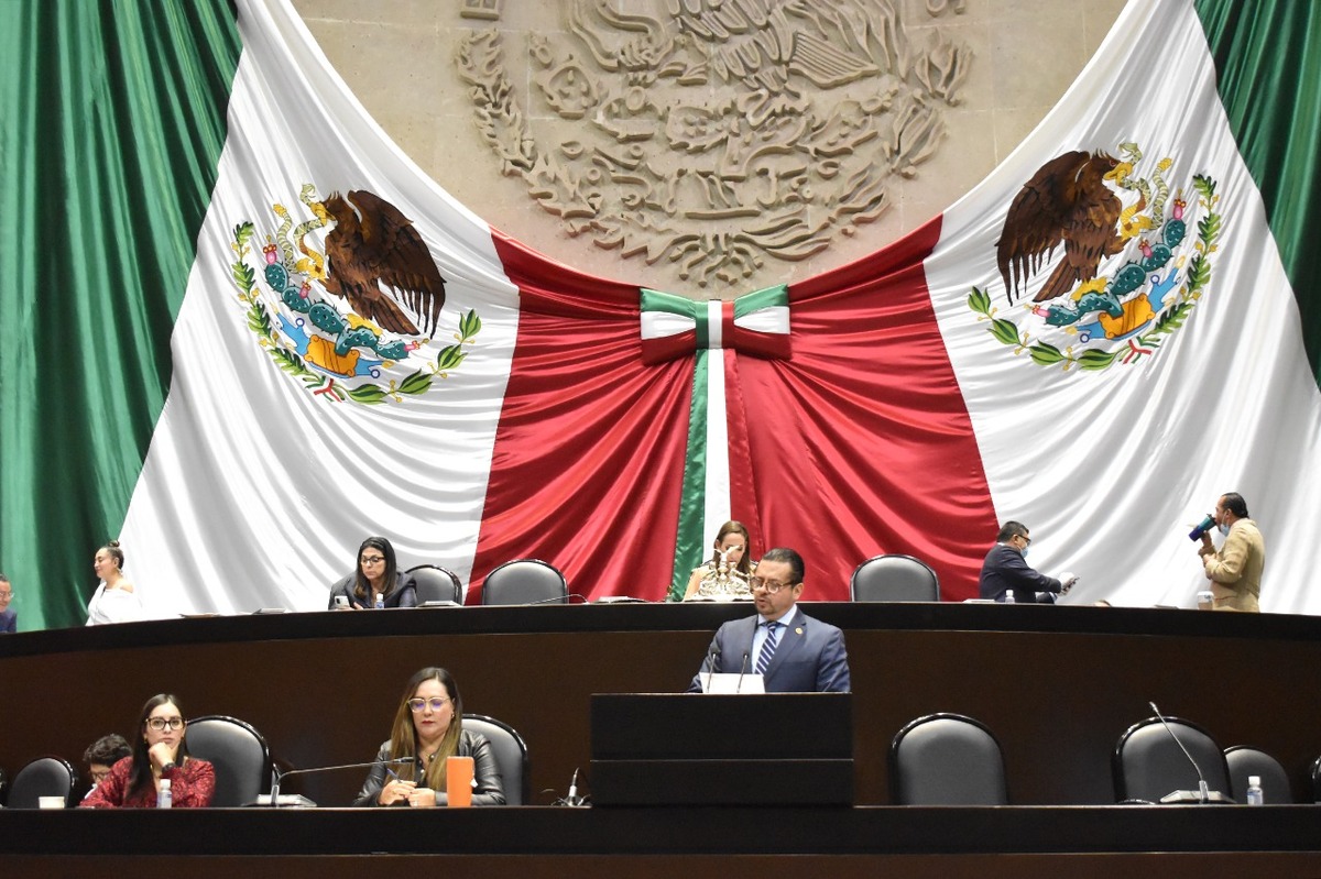 El pleno de la Cámara de Diputados aprobó por unanimidad.