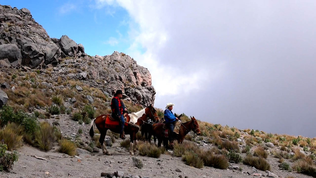 Conexión Milenio: Cabalgata de alta montaña en el Pico de Orizaba
