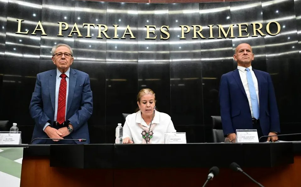 Exceso de mortalidad se elevó durante pandemia de covid-19: Ssa en Senado