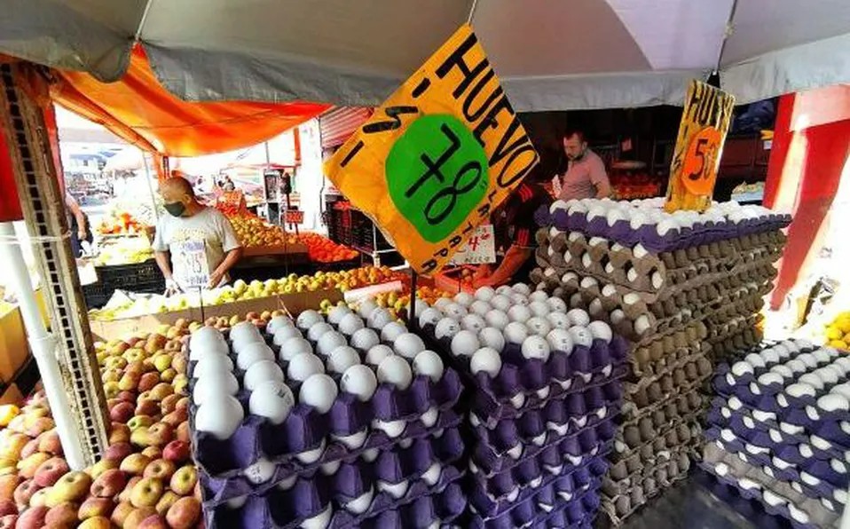 Prevén incremento en el precio de pollo y huevo por gripe aviar