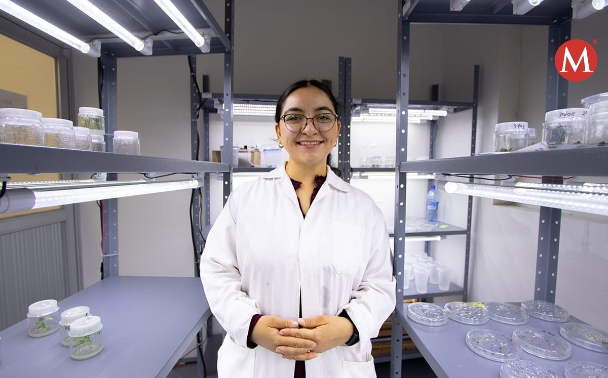 Estudiante de la UAT diseña prototipo para tratar agua residual de uso doméstico