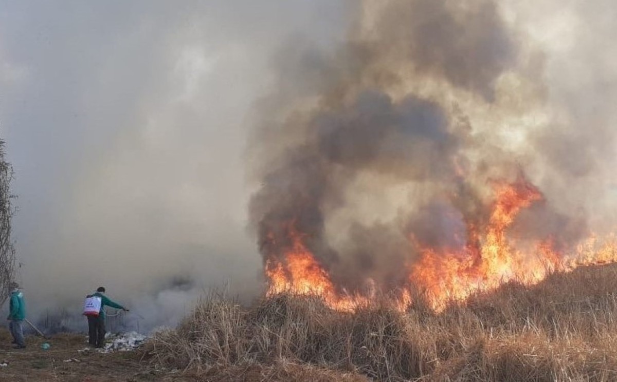 Se busca promover la cultura de prevención de incendios forestales y de capacitación permanente. (Especial)