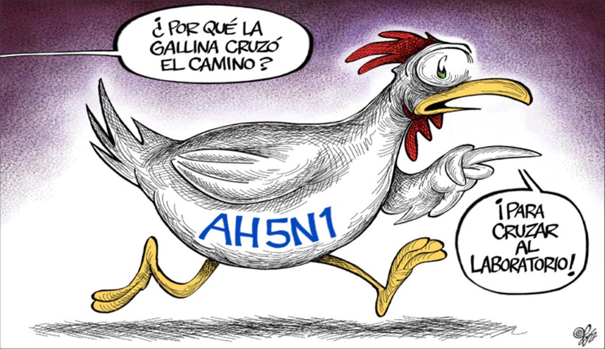 Evitando gripe aviar en NL
