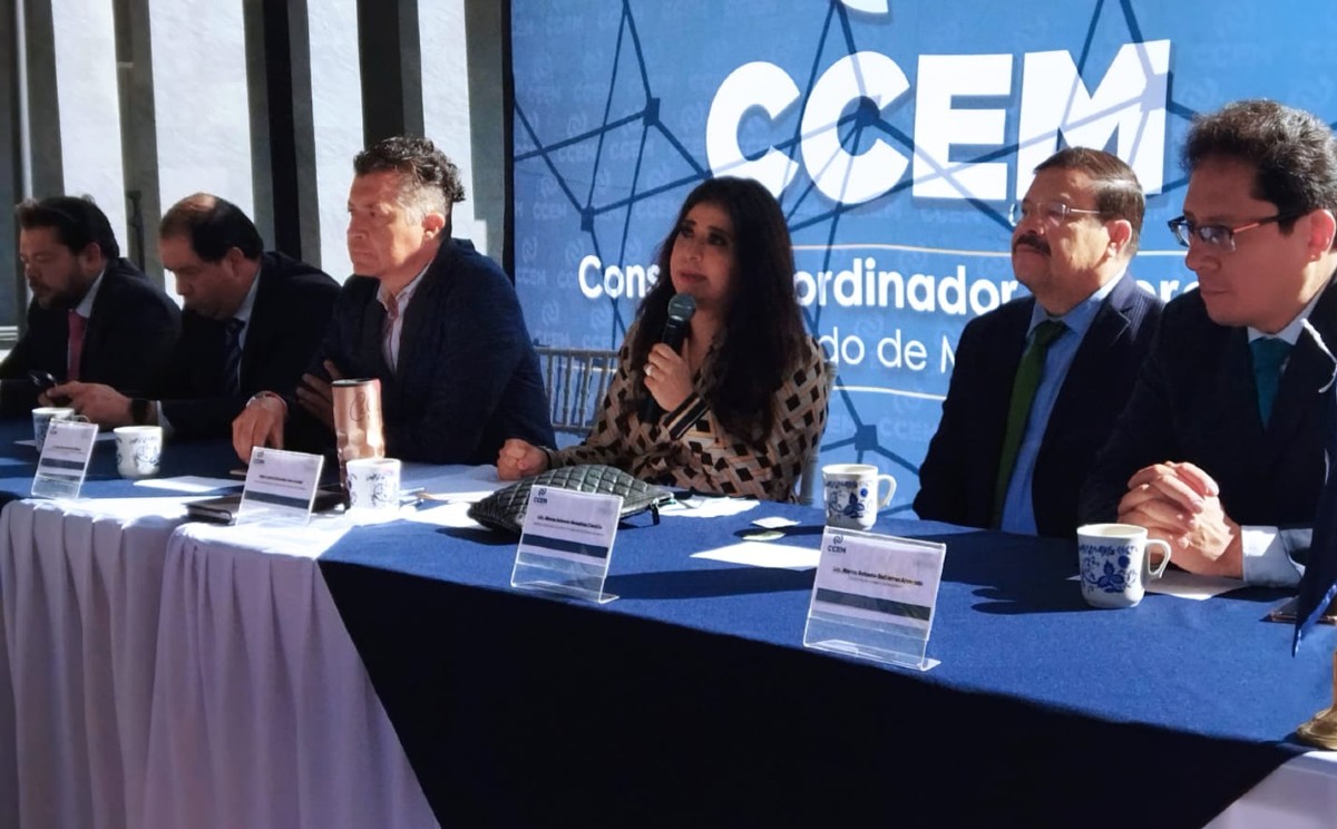 "El llamado es a que las campañas sean de propuestas". (Alondra Ávila)